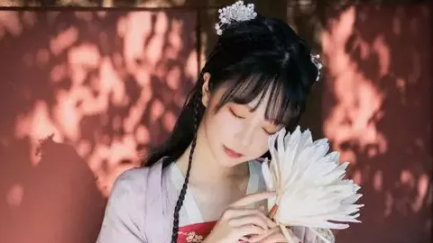 苏州希尔顿酒店闯入事件