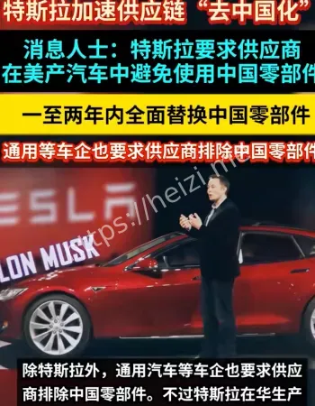 特斯拉去中国化
