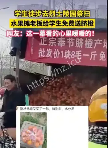 男子上山挖坑栽树无意挖中蚂蚁窝